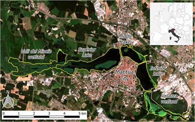 Aspects of Invasiveness of Ludwigia and Nelumbo in Shallow Temperate Fluvial Lakes